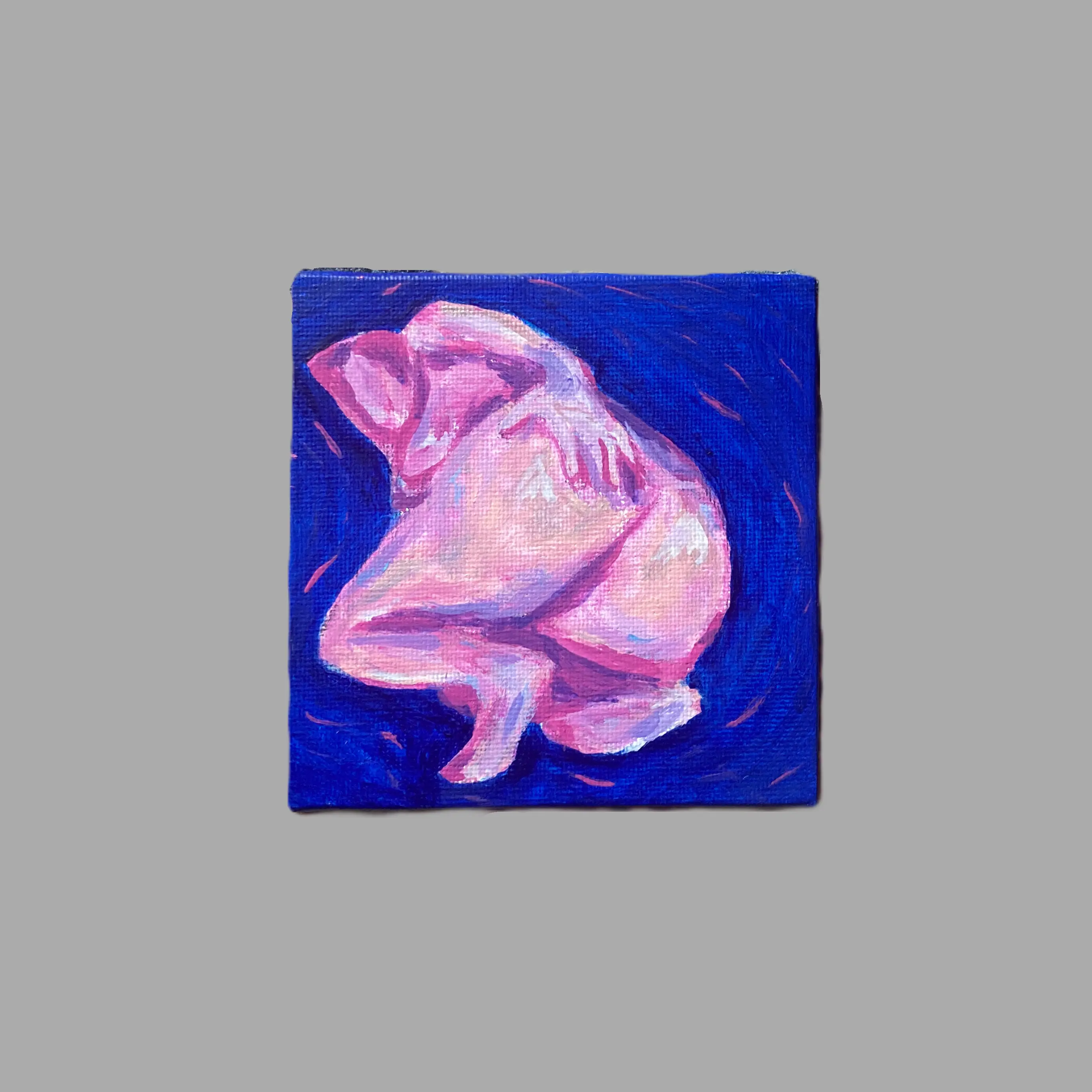 Série : "Les couleurs du désir" ; Haute en Couleur